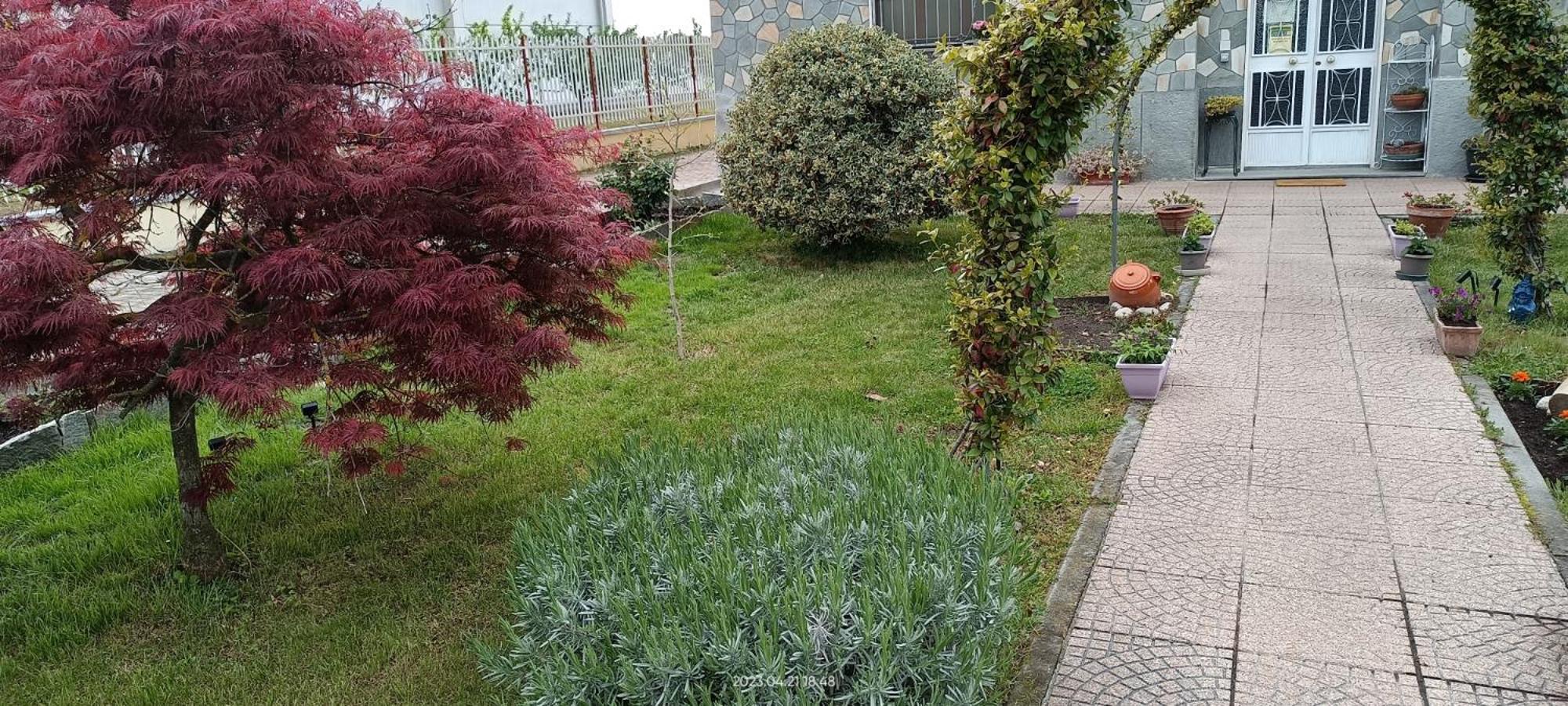 La Magnolia B&B Gassino Torinese Exterior foto