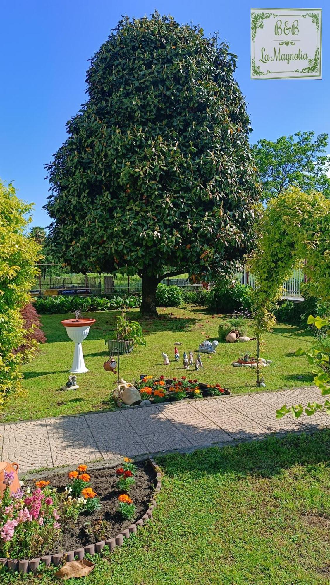 La Magnolia B&B Gassino Torinese Exterior foto